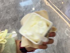 -野人先生现做冰淇淋(西安赛格店)