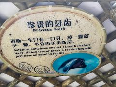 -珠海长隆海洋王国