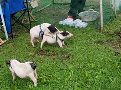 -玉渡山风景区-售票处