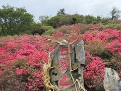 -木兰云雾山
