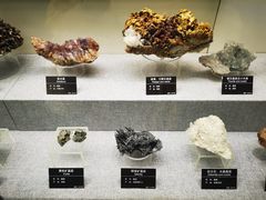 -甘肃地质博物馆