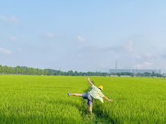 -崖口煲仔饭