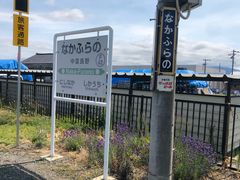 -富田农场