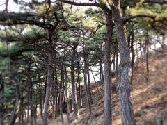 -妙峰山风景名胜区