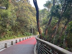 -梧桐山风景名胜区