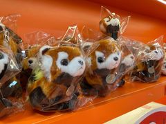 -熊猫邮局(少城店)