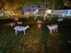 -九十九顶毡房(阜石路店)