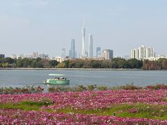 -海珠湖公园