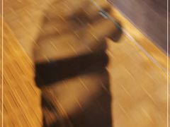 -南门四季铜锅涮肉(大屯·北苑店)