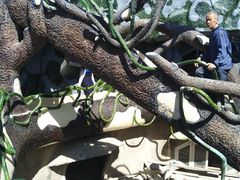 -疯狂屋