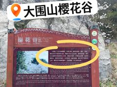 -大围山国家森林公园