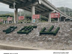 -马峦山郊野公园
