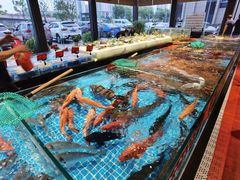 -苏先生海鲜渔庄(金桥店)