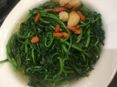 -海王老记