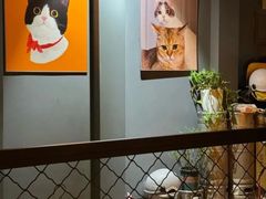 -后院儿·精酿·塔罗Happy Bar