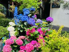 -雅达·阳羡溪山小镇中心