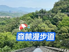 -福道