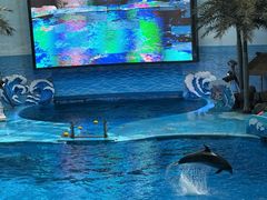 -海合安成都极地海洋公园