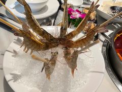 -新一哥粤菜火锅(瑞金店)