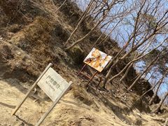 -大觉寺-停车场