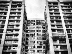 -海港城