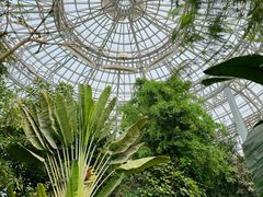 -郑州植物园