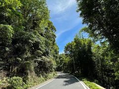 -广州市帽峰山景区