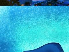 -珠海长隆海洋王国