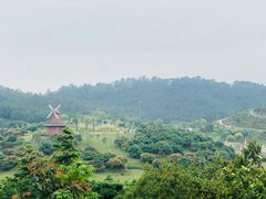 -东莞植物园