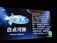 -太平洋海底世界