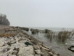 -宾湖农庄·农场特色(太湖龙之梦店)