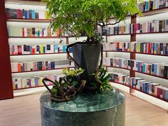 -二酉书店TOYOU BOOKS