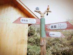 -石老人观光园