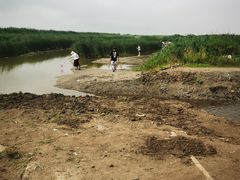 -南汇嘴观海公园