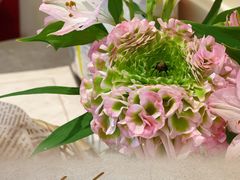 -HUATA 'Holiday Plan 花榻