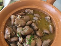 鸡汁发芽豆-骏莱海鲜鱼港(五角场店)