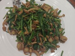 -新世纪绿洲(抚顺店)