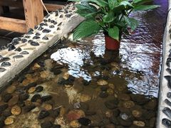 -丽江庭院之爱在路上(西单店)