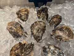 -Oyster Talks 四度蚝法餐厅