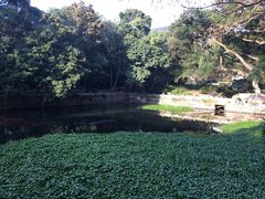 -普陀山风景名胜区-法雨禅寺