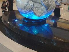 -上海新发展亚太JW万豪酒店