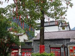 -衢州大荫山丛林飞越探险乐园