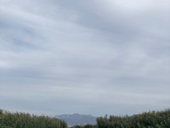 -乌梁素海景区