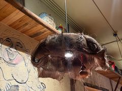 -泥糊破店小酒馆·团建聚餐(南京西路店)