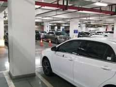 -上海交通大学医学院附属瑞金医院(总院)