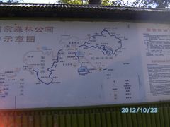 -鲁山国家森林公园