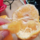 果多美的丑橘真的好干啊