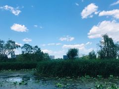 -大兴滨河森林公园