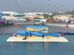 -秦皇岛乐岛海洋王国