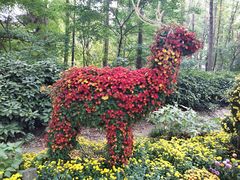 -上海共青森林公园